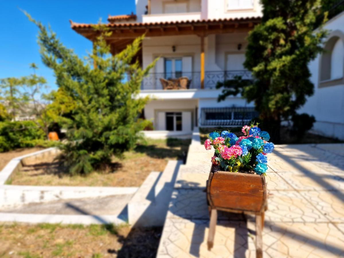 Villa Liana : Luxury Villa With Fantastic Sea View, Near Airport Pórto Ráfti Eksteriør billede